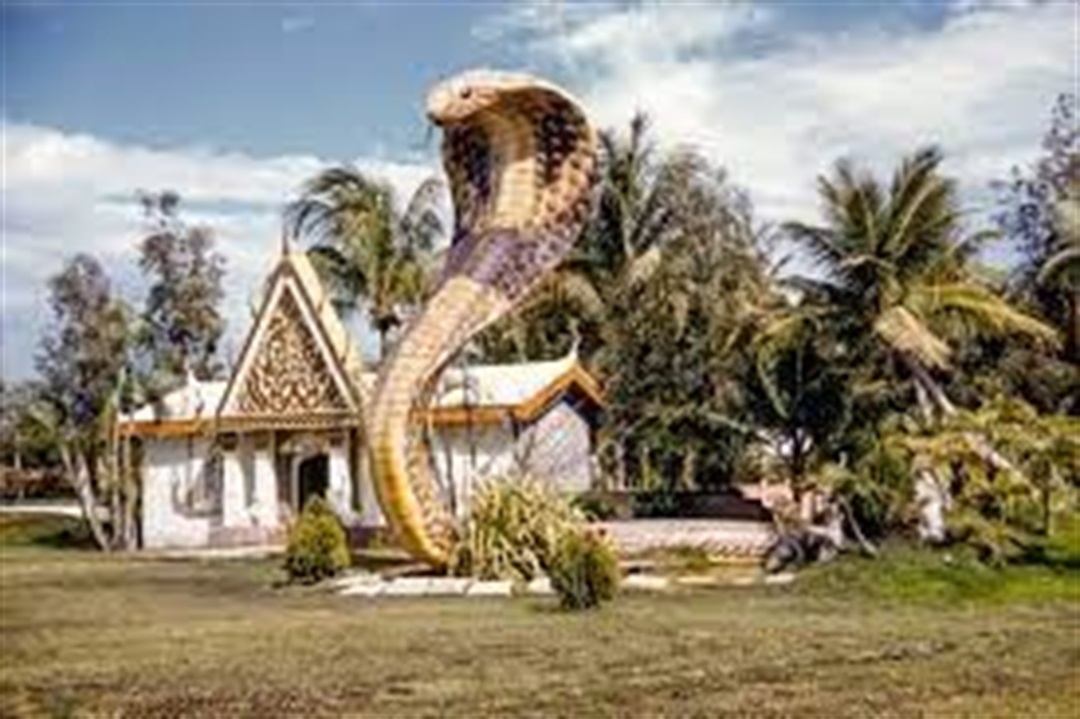 The Miami Serpentarium Village of Pinecrest