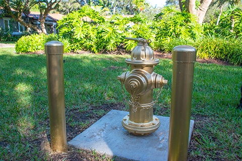 gold fire hydrant